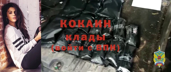 шишки Богданович