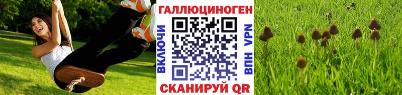 Галлюциногенные грибы Psilocybe  мориарти как зайти  Белореченск 