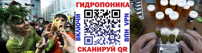 Конопля семена магазин наркотиков Белореченск